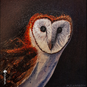 Barn Owl ($11.50)