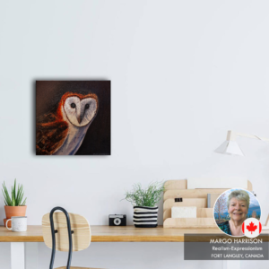 Barn Owl ($11.50)