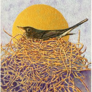 “Nestled In” (Robin on Nest)