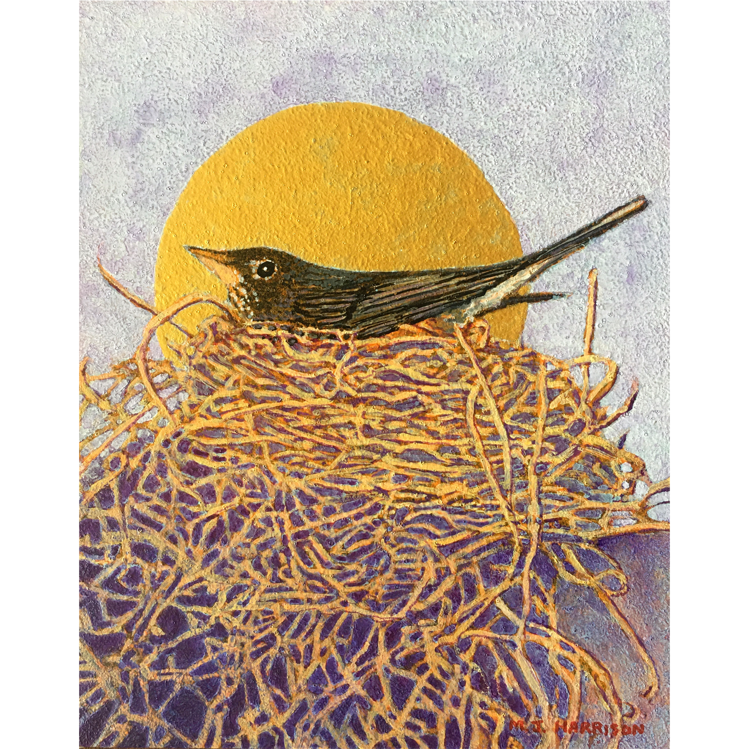 “Nestled In” (Robin on Nest)