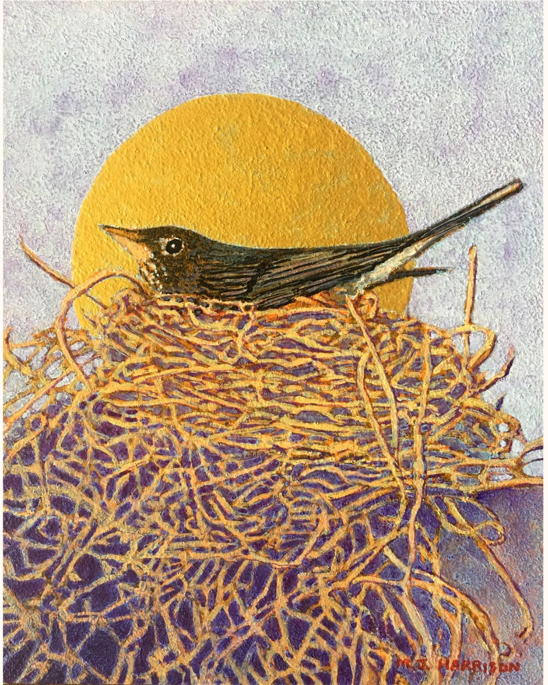 “Nestled In” (Robin on Nest)