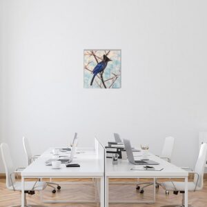 “Steller’s Jay”