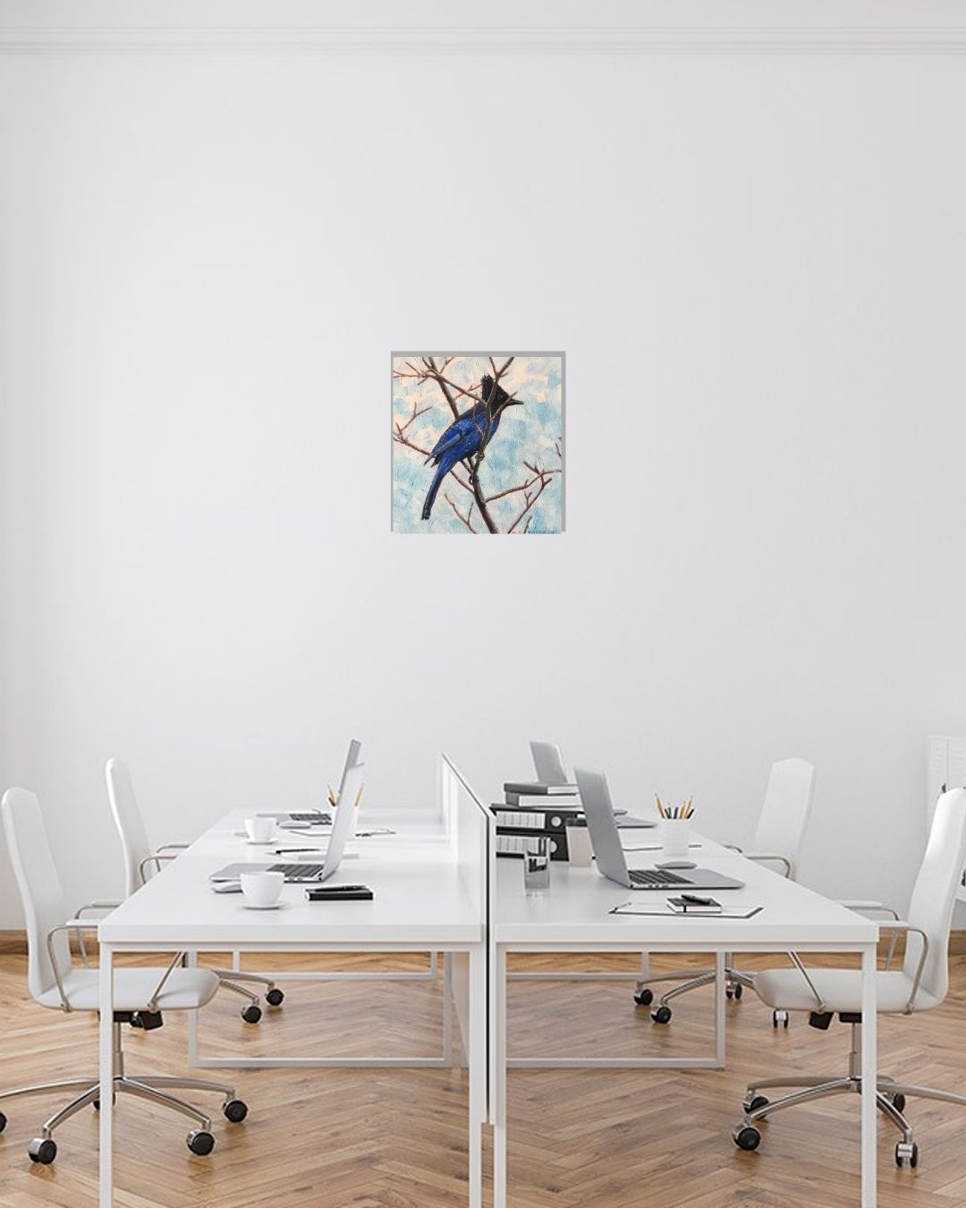 "Steller’s Jay” - Image 2