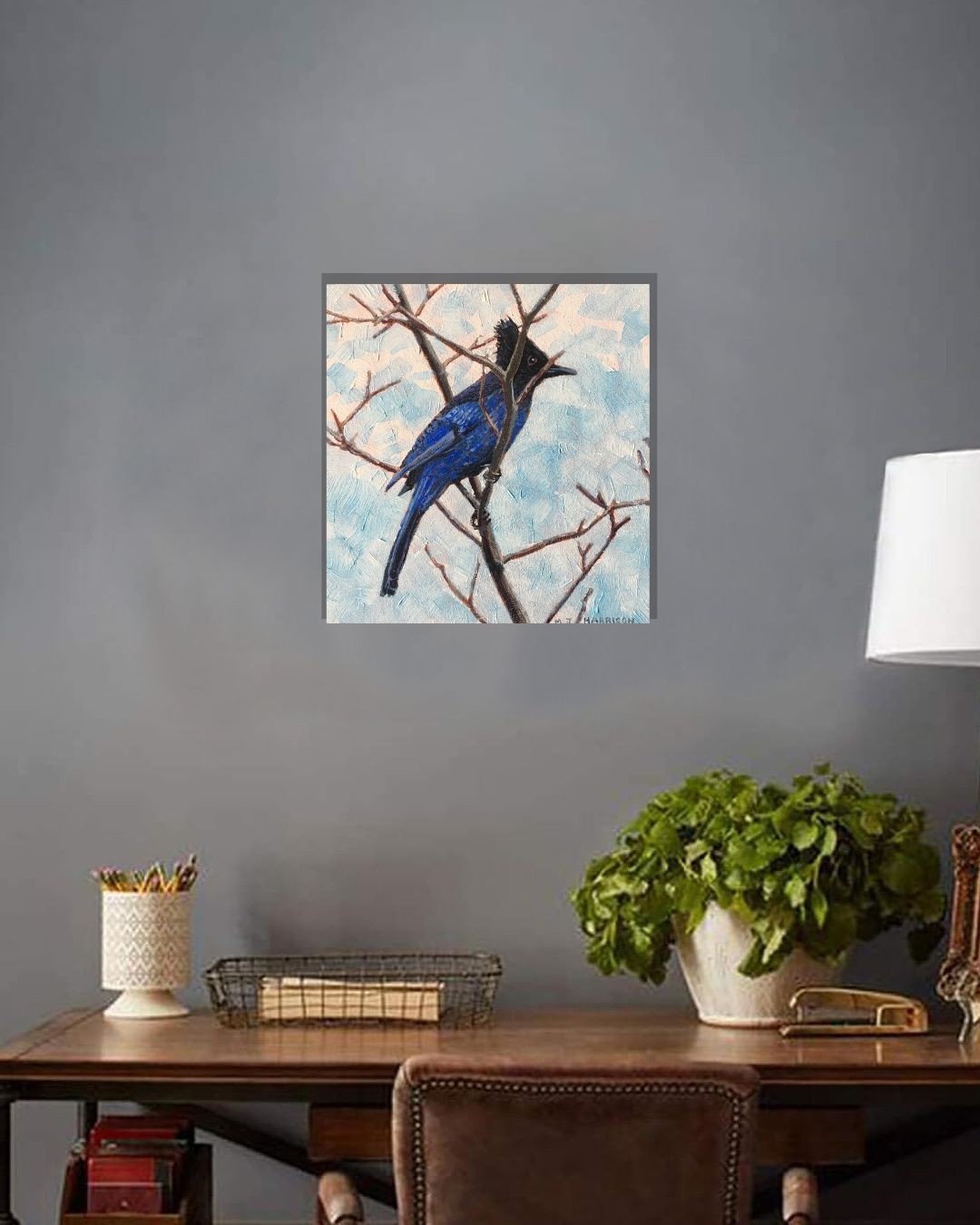 "Steller’s Jay” - Image 3
