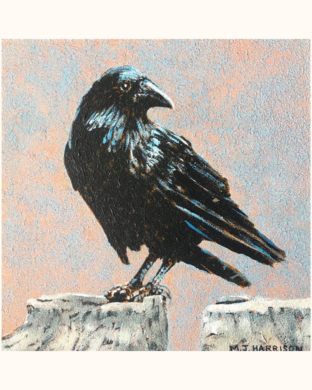 “Strike a Pose” (Raven)