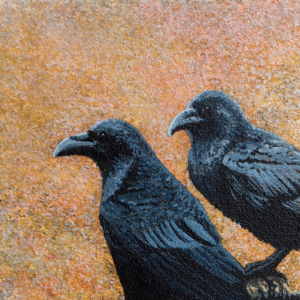 Raven Duo